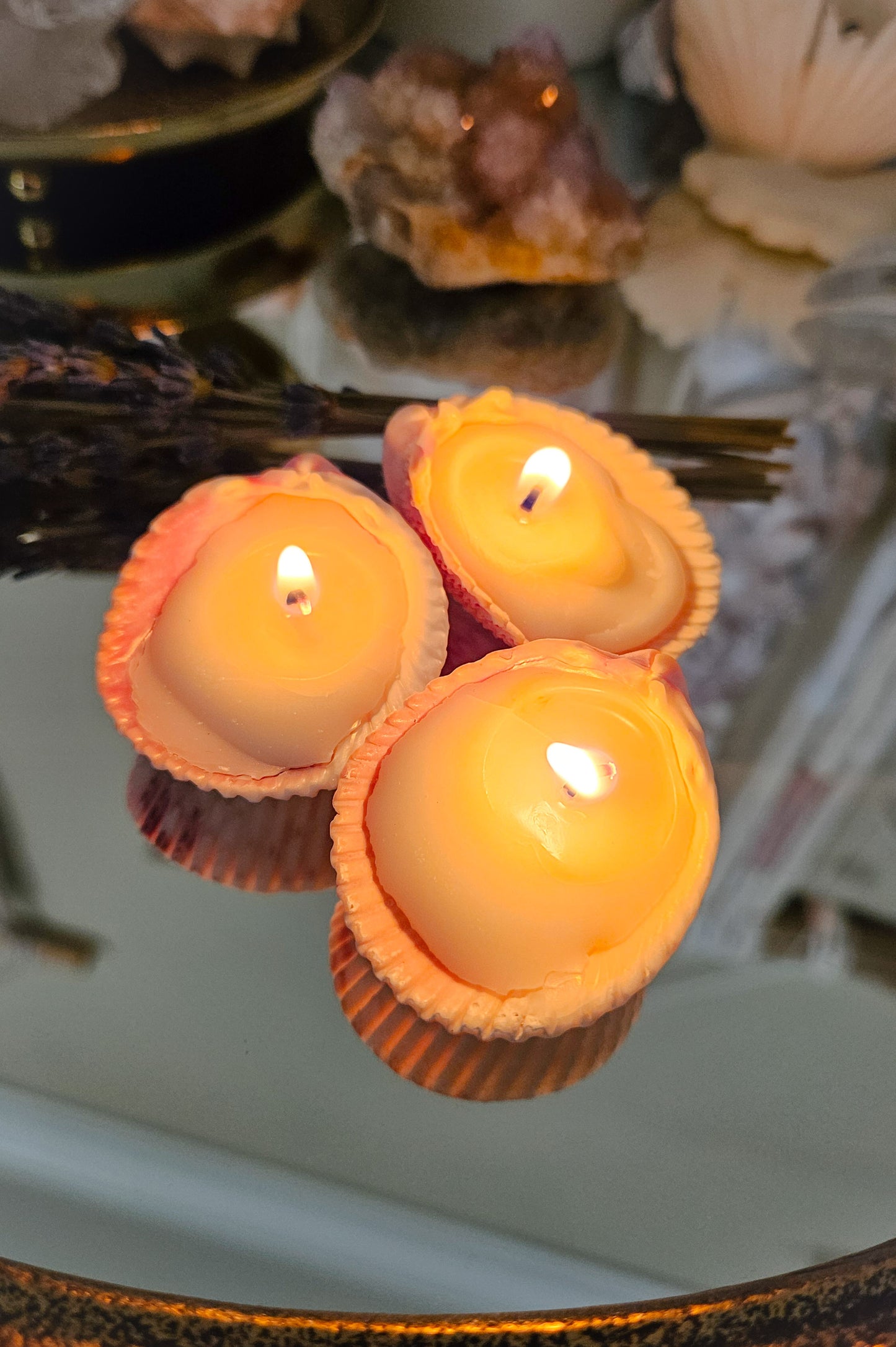 Cockle Shell Tealight