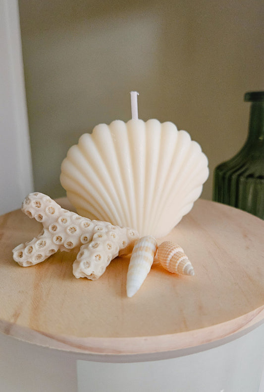 Mini Seashell Candle